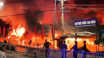 Đã dập tắt vụ cháy chợ thực phẩm Tam Nông ở Đồng Tháp