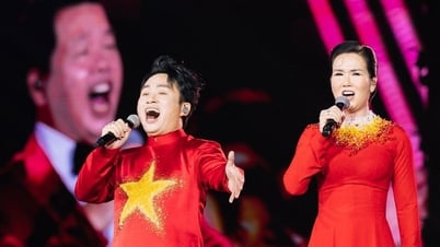 Concert và công nghiệp giải trí