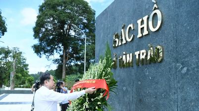 Nhiều hoạt động về nguồn được tổ chức trang trọng tại Tân Trào