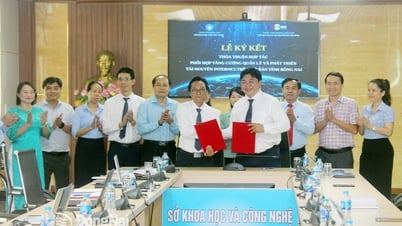 Tăng cường giải pháp quản lý và phát triển tài nguyên số tại Đồng Nai