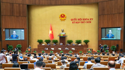Vorschlag, ausländischen Experten bei der Erlangung der vietnamesischen Staatsbürgerschaft Vorrang einzuräumen