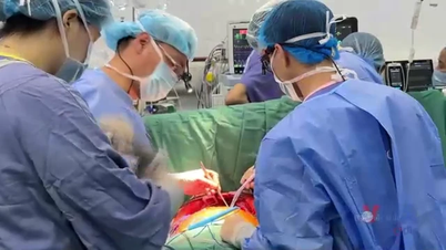 Những cuộc chiến sinh tử để hồi sinh sự sống