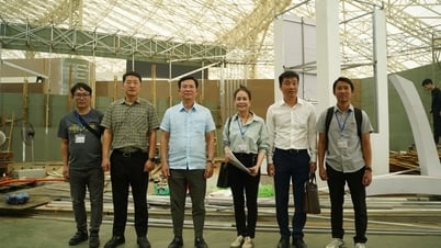 Chuẩn bị tốt nhất cho công tác trưng bày của tỉnh tại Triển lãm Thành tựu đất nước