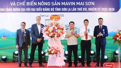 Lễ khởi công tổ hợp nhà máy sản xuất thức ăn chăn nuôi và chế biến nông sản Mavin Mai Sơn