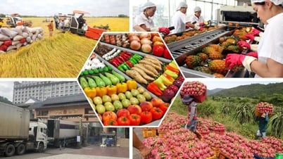 Đa dạng thị trường xuất khẩu nông sản Việt