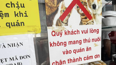 Tranh cãi quán ăn TP.HCM cấm khách mang thú cưng vào: Hợp lý hay khắt khe?