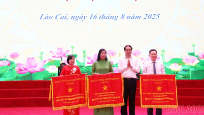 Ngành Giáo dục và Đào tạo có vai trò quan trọng trong thực hiện mục tiêu phát triển tỉnh theo hướng bền vững, hài hoà, bản sắc, hạnh phúc