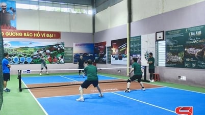 Khai trương sân thể thao và giao lưu pickleball