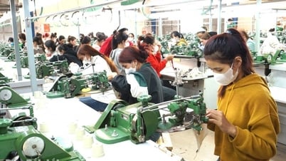 Phấn đấu đến cuối năm 2030 trên địa bàn tỉnh có trên 29.000 doanh nghiệp