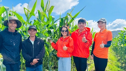Chàng trai trẻ khởi nghiệp từ nông sản đóng hộp