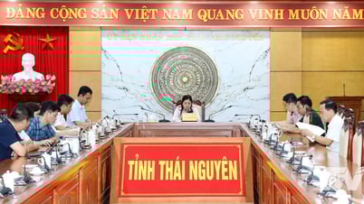 Không thay đổi chỉ tiêu phát triển nhà ở xã hội năm 2025