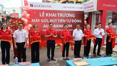 Agribank tiên phong 'phủ sóng' ngân hàng hiện đại tại xã đảo Thạnh An