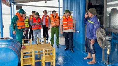 Phường Hà An: Ra quân kiểm tra, chấn chỉnh hoạt động nuôi trồng thủy sản trên biển