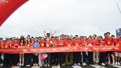An Giang: Hơn 6.000 ngàn người đi bộ “Cùng Việt Nam tiến bước”
