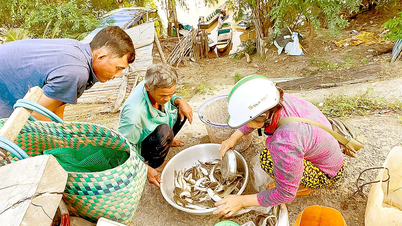 Đón lộc vàng mùa nước nổi