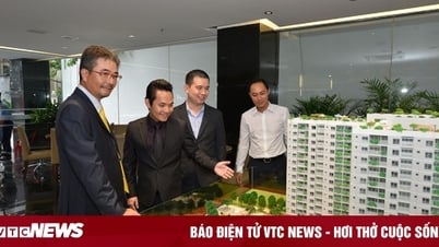 Vàng, chứng khoán, bất động sản cùng 'nóng', nên đầu tư kênh nào?