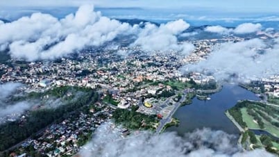 Kết nối biển và rừng, Lâm Đồng cần "vẽ" lại bản đồ...