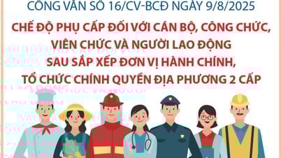 Chế độ phụ cấp với cán bộ, công chức, viên chức và người lao động sau sắp xếp