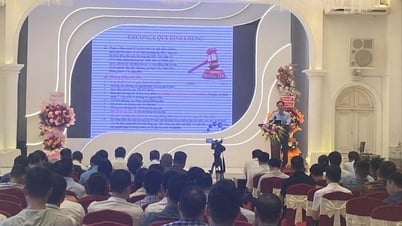 Nâng cao năng lực quản lý cho đội ngũ làm công tác địa chất, khoáng sản