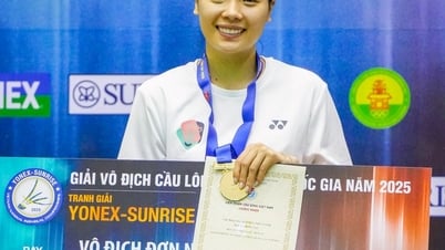 Thuỳ Linh, Hải Đăng vô địch quốc gia