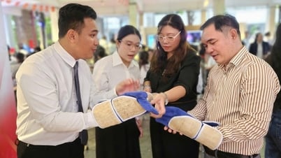 Thích thú với những dự án khởi nghiệp xanh, có ích cho cộng đồng