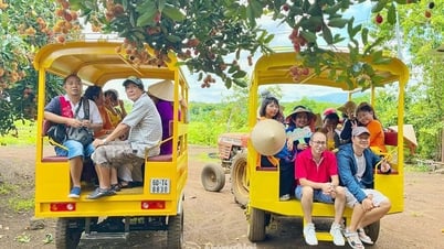 Khám phá những sản phẩm du lịch OCOP 3 sao của Đồng Nai