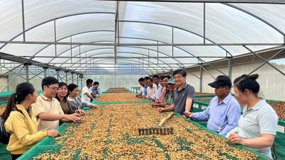 Bước đi mới ở Công viên Địa chất toàn cầu