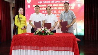 Hội nghị kết nối giao thương doanh nhân Đắk Lắk – Trung Quốc