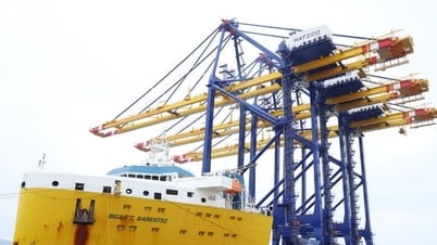 Kinh tế 7 tháng đầu năm 2025: Những tín hiệu phục hồi
