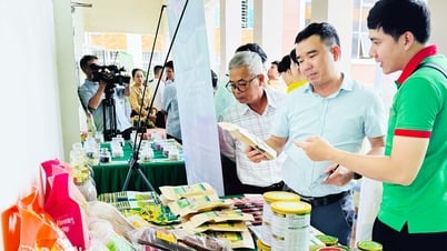 Thị trường thực dưỡng sản phẩm với xu hướng “ăn sạch, sống khỏe”
