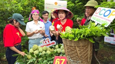 Livestream 'Cây na số' thu hút 10 lượt triệu người tiếp cận