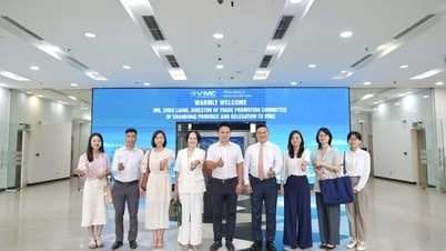 VIMC និង DAA វៀតណាមបានទទួលគណៈប្រតិភូមកពីគណៈកម្មាធិការជំរុញពាណិជ្ជកម្មអន្តរជាតិខេត្ត Shandong