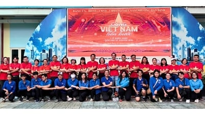 TP HCM: Phường Tân Định "Cùng Việt Nam tiến bước"
