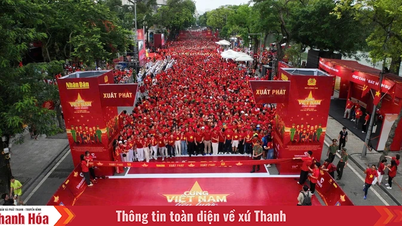 Hơn 1 triệu người cùng đi bộ vì một Việt Nam đoàn kết, hùng cường tiến vào kỷ nguyên mới