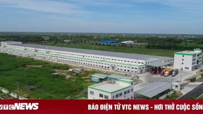 Hướng tới kinh tế xanh, Tây Ninh tăng tốc xây dựng các KCN hiện đại, bền vững