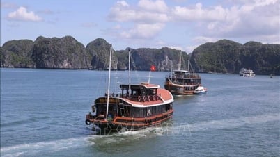 Điểm nhấn thu hút du khách đến Cát Bà