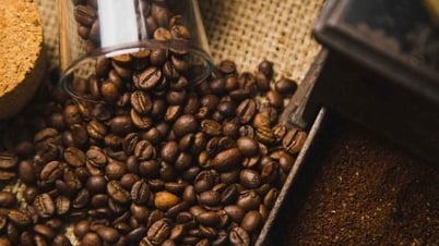 Giá cà phê hôm nay 17/8/2025: Mức tăng nhanh khó tin