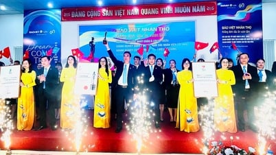 Công ty Bảo Việt Nhân thọ Hải Dương công bố giải thưởng 'Nơi làm việc tốt nhất Châu Á' 7 năm liên tiếp