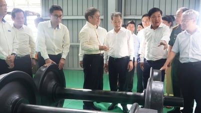 Đà Nẵng muốn THACO nghiên cứu, tham gia dự án đường sắt đô thị