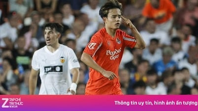 Ngả mũ trước Kubo