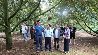 Xã Ea Knuếc: Kết nối tiêu thụ sầu riêng và nông sản