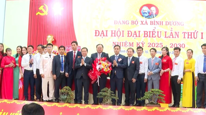 Xã Bình Dương phấn đấu đạt chuẩn nông thôn mới nâng cao