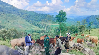 Az állattenyésztési modell segít a hmong népnek kitörni a szegénységből.