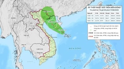 Áp thấp nhiệt đới gây gió mạnh, sóng lớn vùng biển Hải Phòng