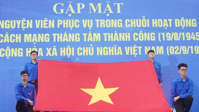 Sẽ có 8.800 tình nguyện viên Thủ đô tiếp sức cho ngày hội non sông