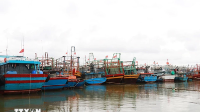 Áp thấp nhiệt đới di chuyển theo hướng Tây Bắc hướng về khu vực Bắc vịnh Bắc Bộ