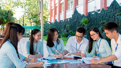 Giáo dục đại học sau sáp nhập: Động lực đổi mới giáo dục vùng