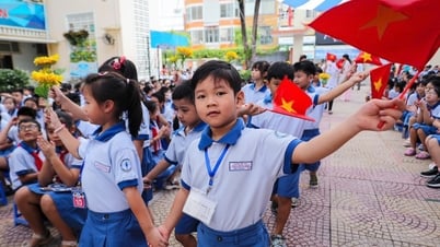 Học sinh lớp 1 TP.HCM tựu trường vào những ngày nào, hoạt động gì đặc sắc?