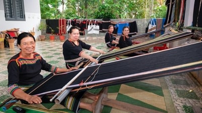 Hỗ trợ 16.000 phụ nữ và đồng bào dân tộc thiểu số tại Đắk Lắk cải thiện sinh kế