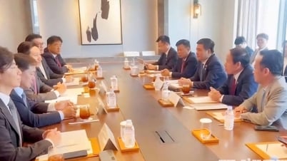 'Lực đẩy ngoại giao' cho tăng trưởng bền vững